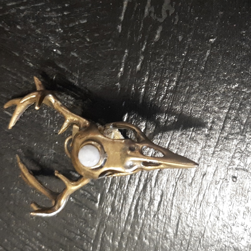 Bird skull with antler's pendant without the chain